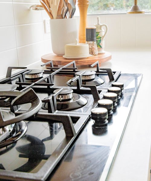 Professional Gas Technician